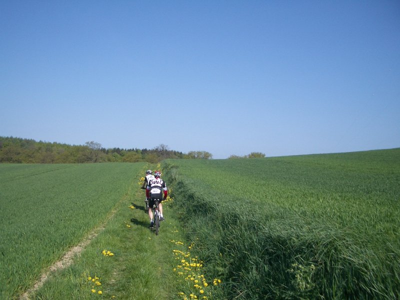 Bungsberg-CTF 482